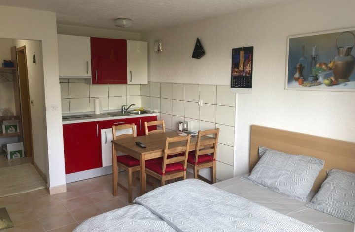 EKOFARM Studio Apartma 2+2